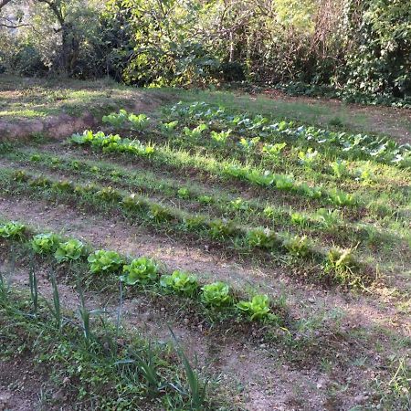 Umbria In Bike B&B Foligno Bagian luar foto