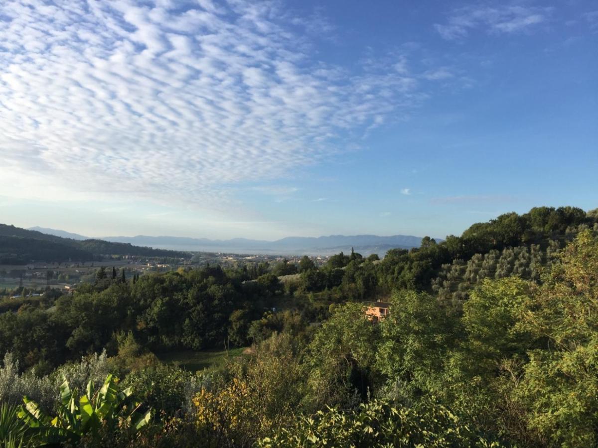 Umbria In Bike B&B Foligno Bagian luar foto