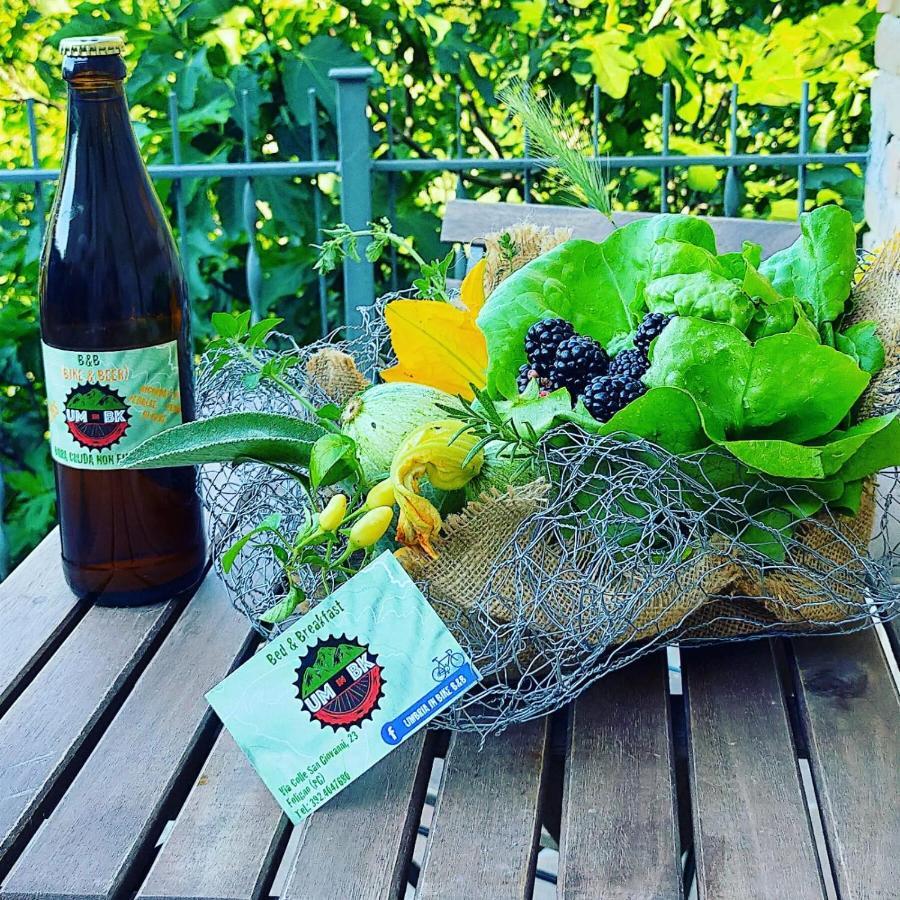 Umbria In Bike B&B Foligno Bagian luar foto