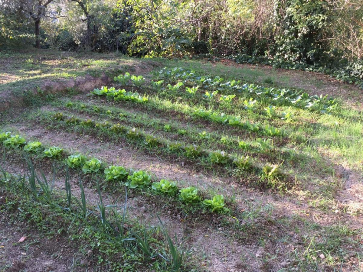 Umbria In Bike B&B Foligno Bagian luar foto