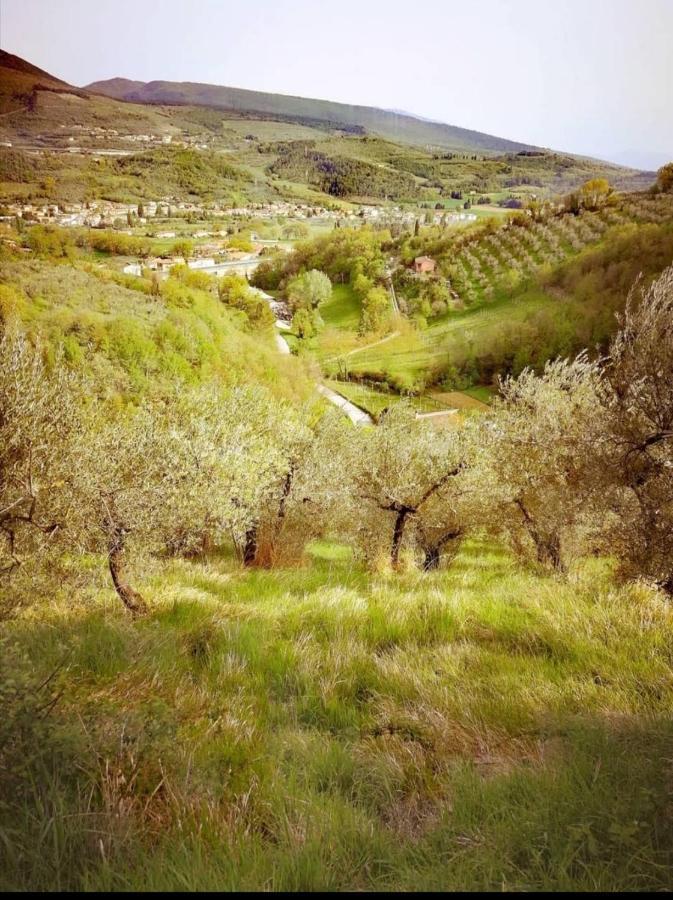 Umbria In Bike B&B Foligno Bagian luar foto